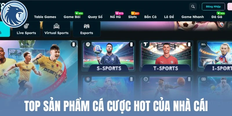 Top sản phẩm cá cược hot của nhà cái